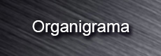 organigrama